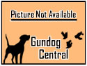 Gundog Central